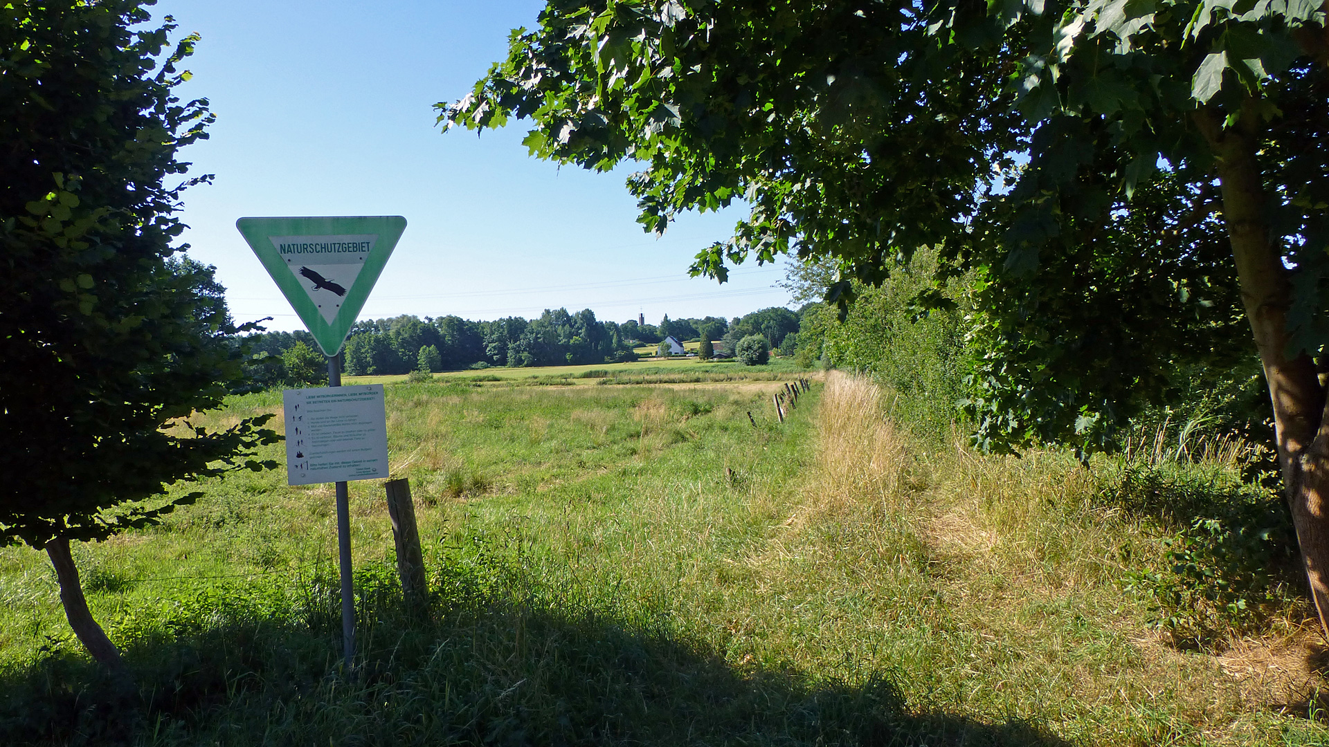 Naturschutzgebiet Paterberg
