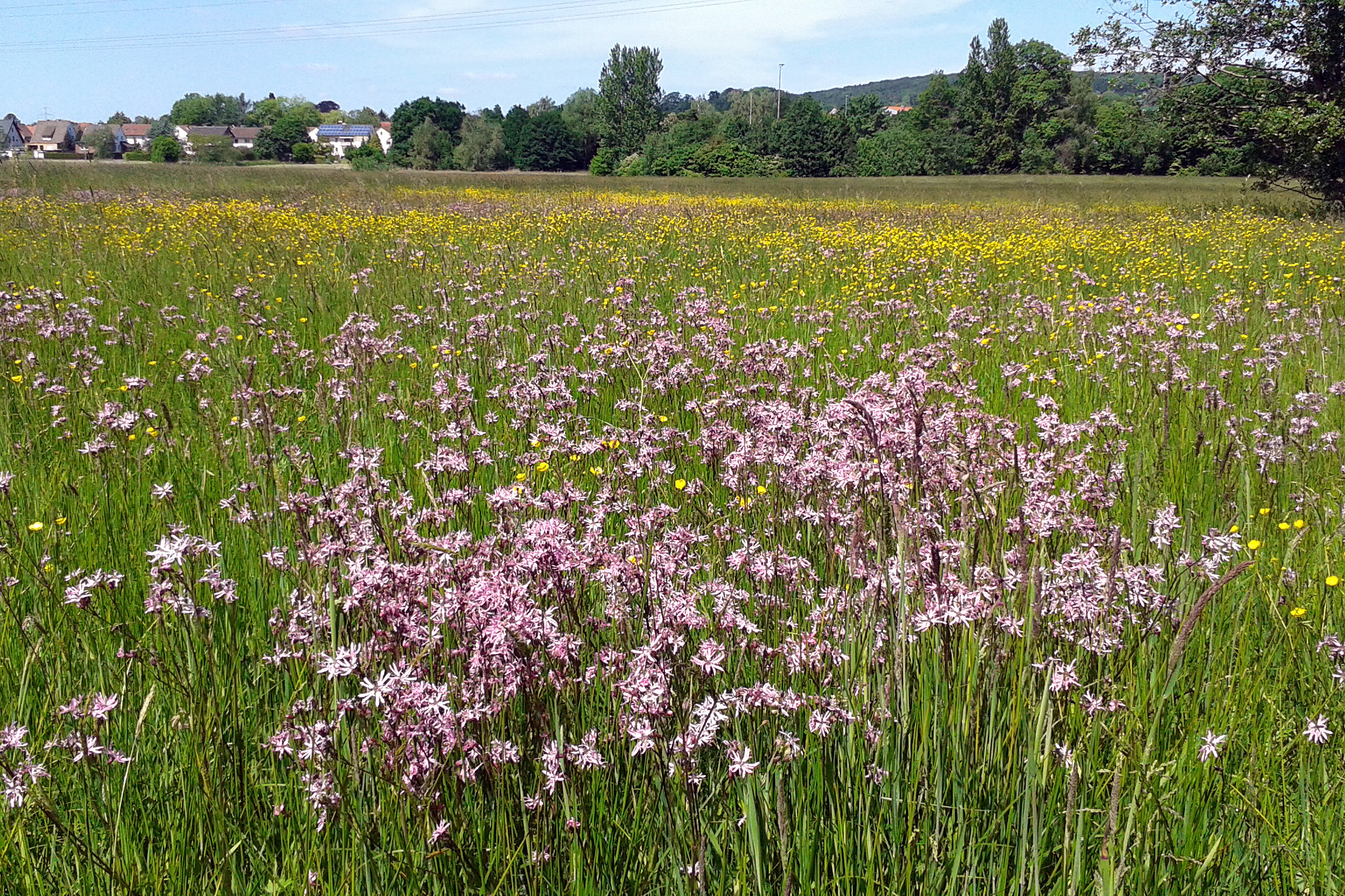 Betreuungsgebiete Betreuungsgebiete